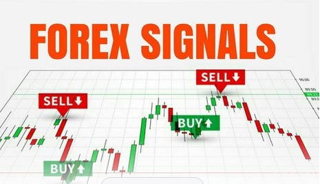 forex signal